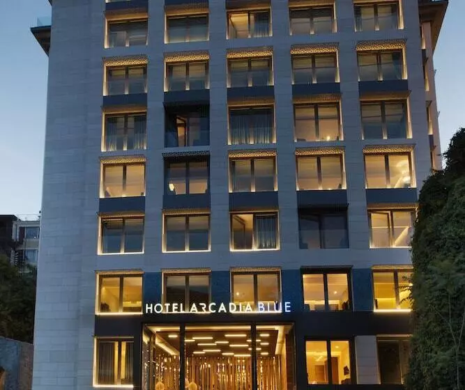 ホテル Arcadia Blue Istanbul