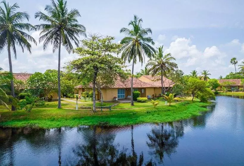 Отель Club Palm Bay