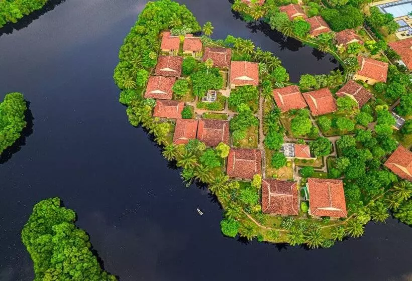 Отель Club Palm Bay