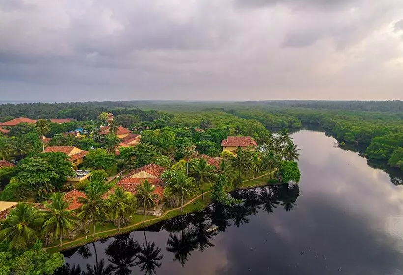 Отель Club Palm Bay