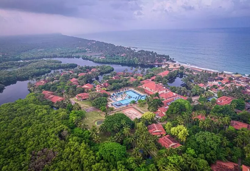 Отель Club Palm Bay