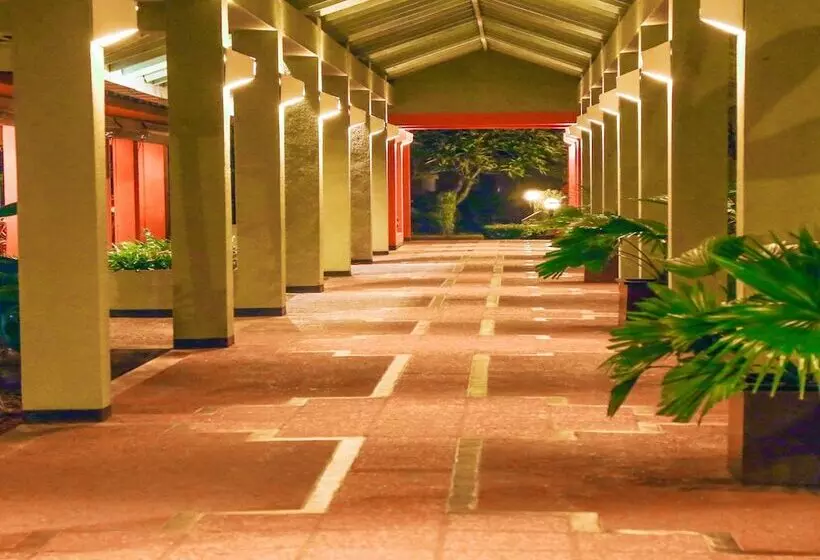 Отель Club Palm Bay