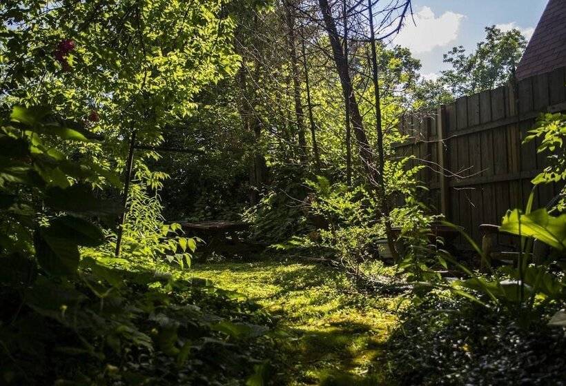 בית מלון כפרי One Of A Kind Experience Heritage Cottage