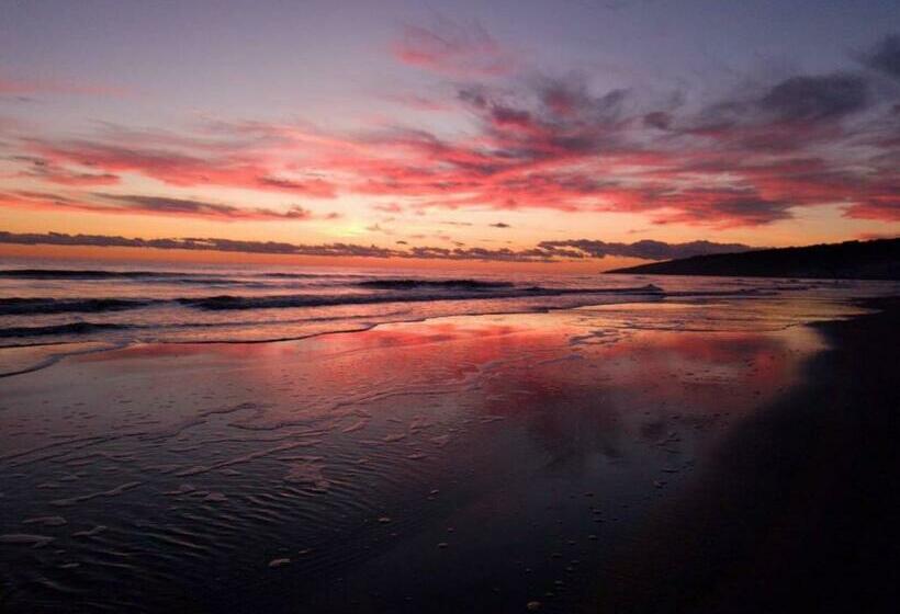 پانسیون Apartments Art