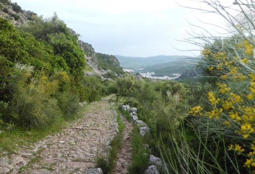 ペンション Jade