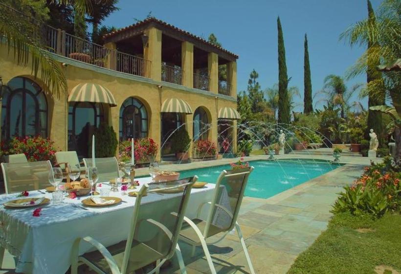 بنسيون The Villa Sophia Guest House