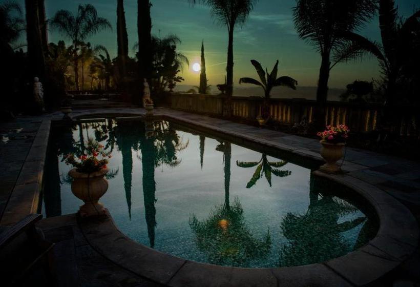 بنسيون The Villa Sophia Guest House