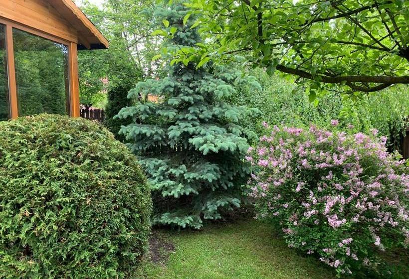 Pensjonat Chalet Milenium Residence Bran