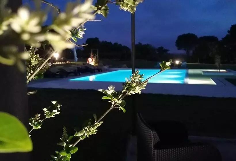 Pérola D óbidos T1