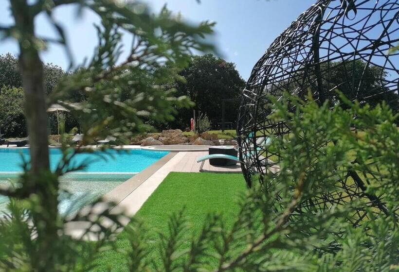 Pérola D óbidos T1