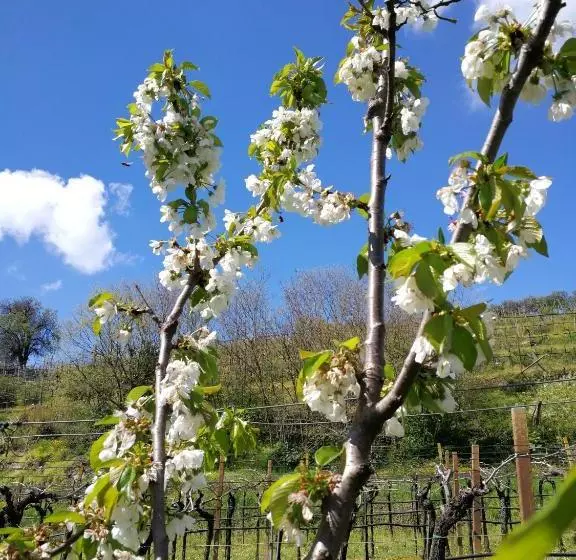 Hotelli B&b Pontesello