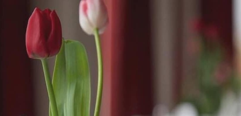 Dunollie Hotel ‘a Bespoke Hotel’