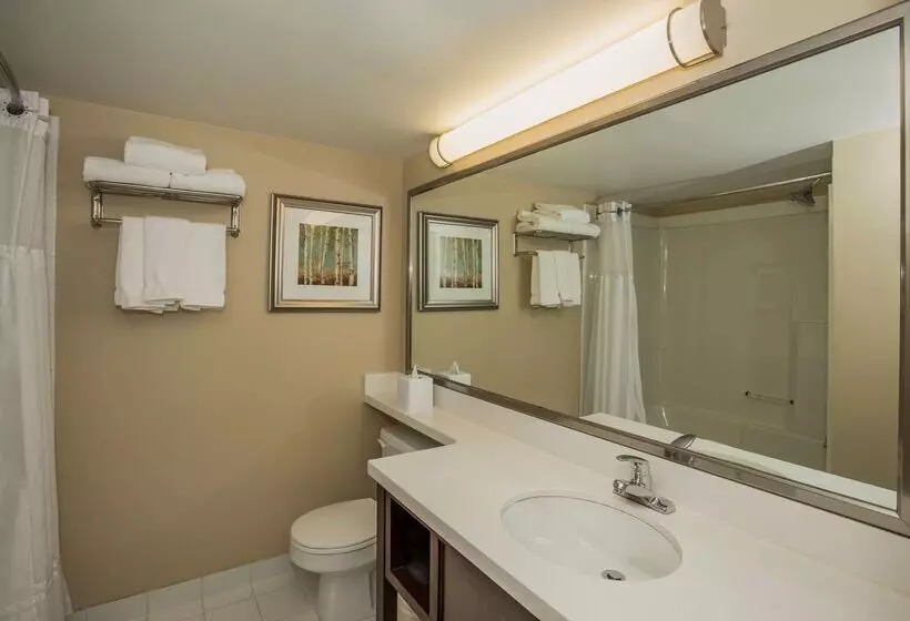 ホテル Best Western Plus Winnipeg Airport