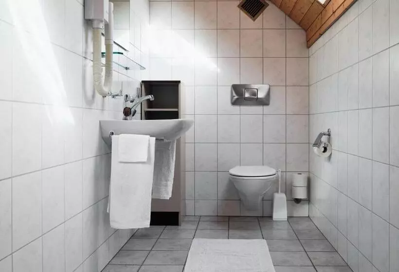 Отель Gasthaus Hof