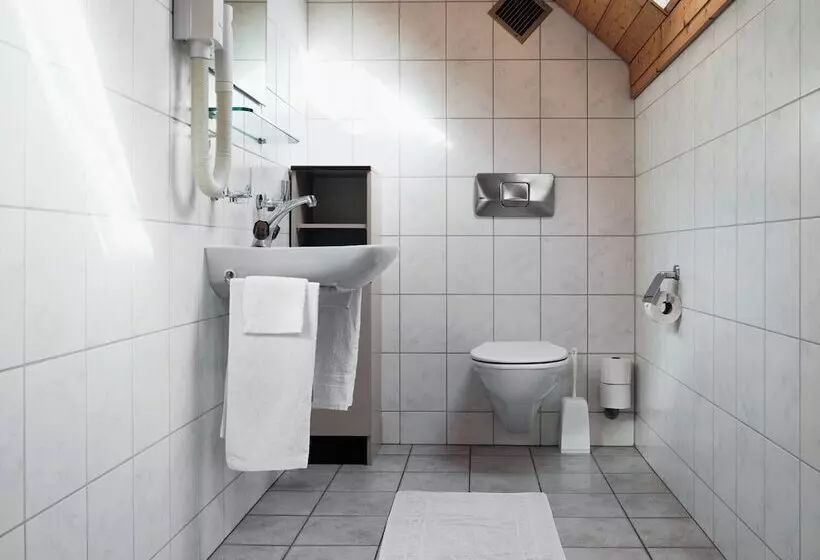 Отель Gasthaus Hof