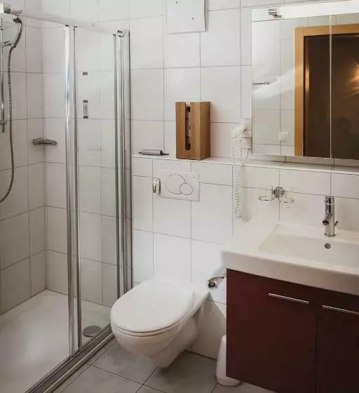 Отель Mischabel