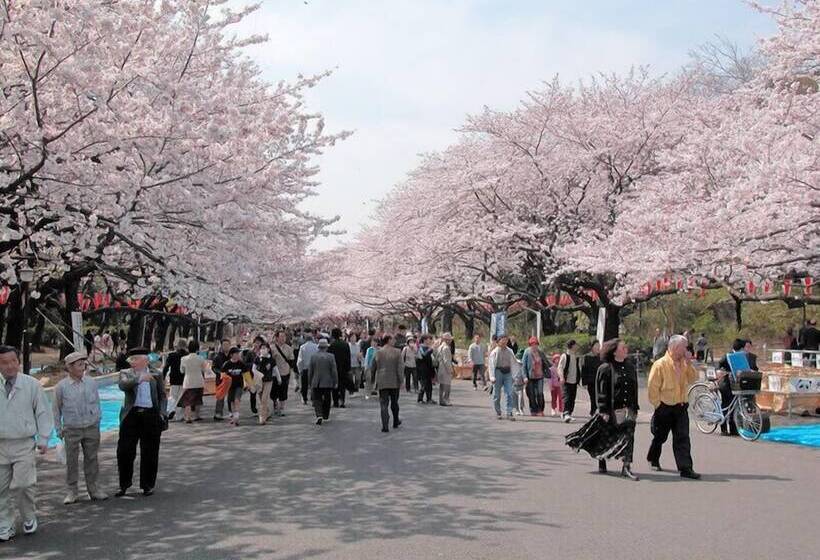 فندق Mystays Gotanda Station