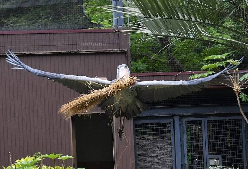 호텔 Mercure Kochi Tosa Resort & Spa