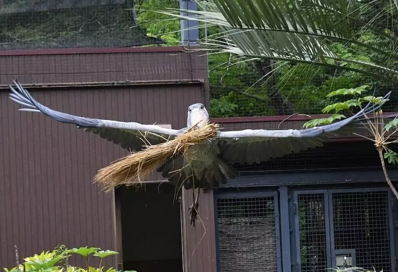 Отель Mercure Kochi Tosa Resort & Spa