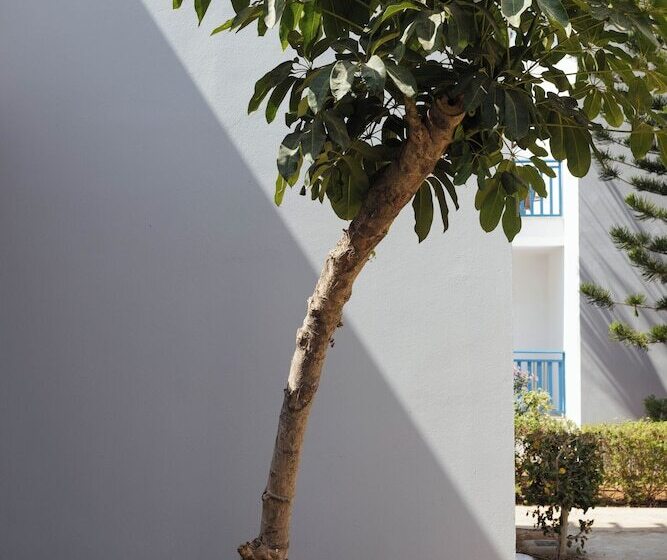 Marismare Apartments