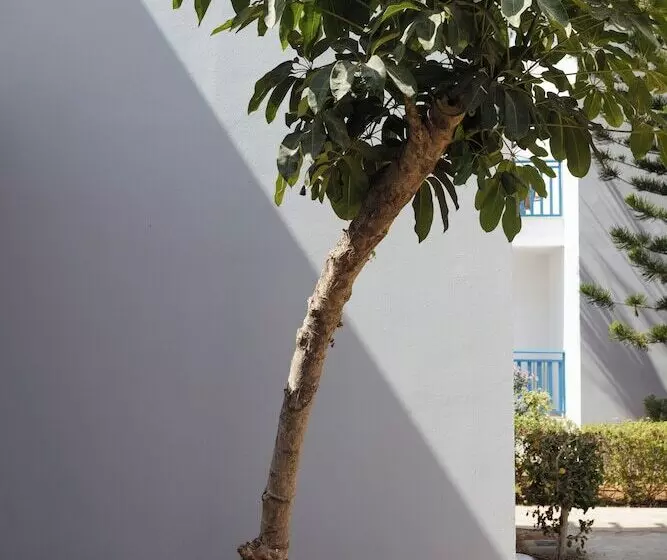 Marismare Apartments