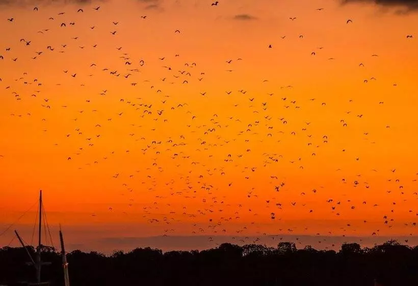 Hotelli Ayana Komodo Waecicu Beach