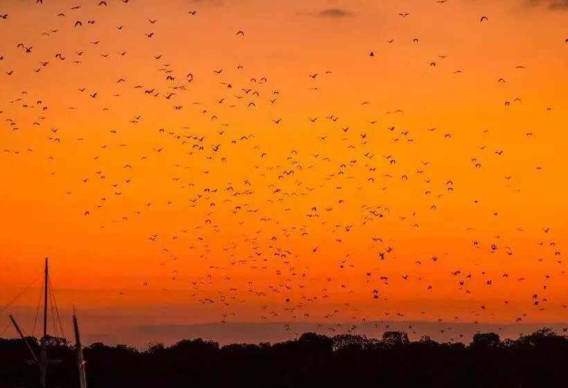 Hotelli Ayana Komodo Waecicu Beach