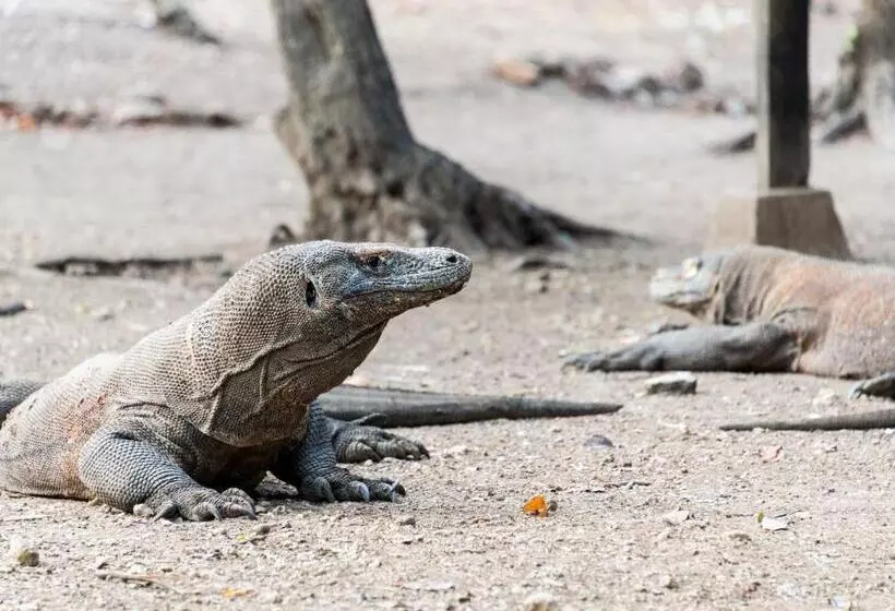 Hotelli Ayana Komodo Waecicu Beach