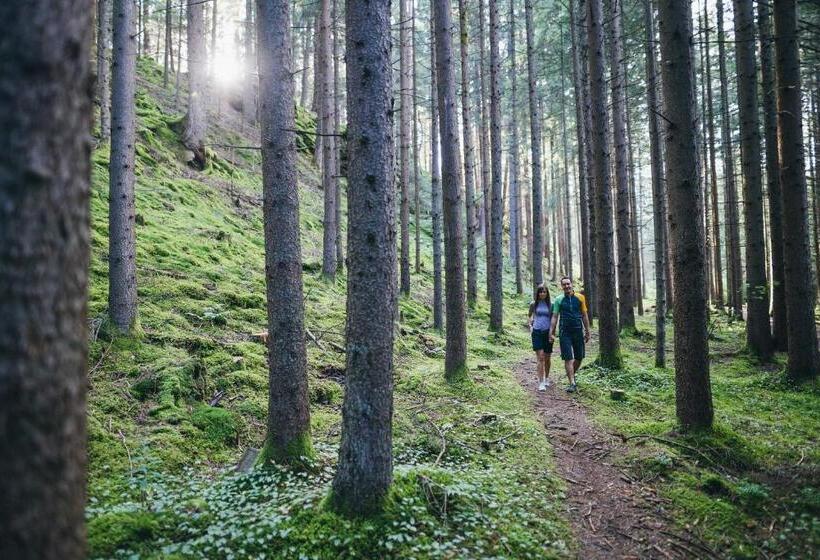 ホテル B & B Gmeineck