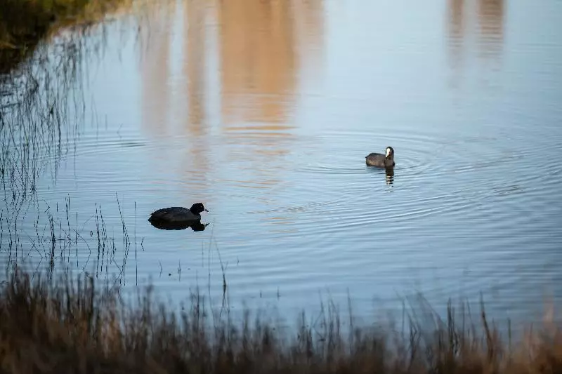 Hotelli Relbia Lodge