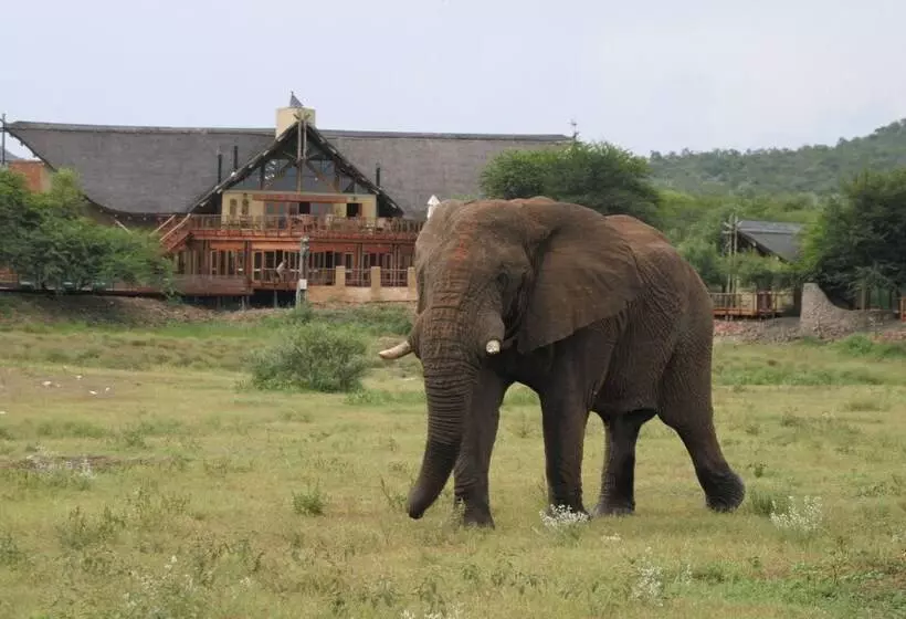 Hotelli Tau Game Lodge