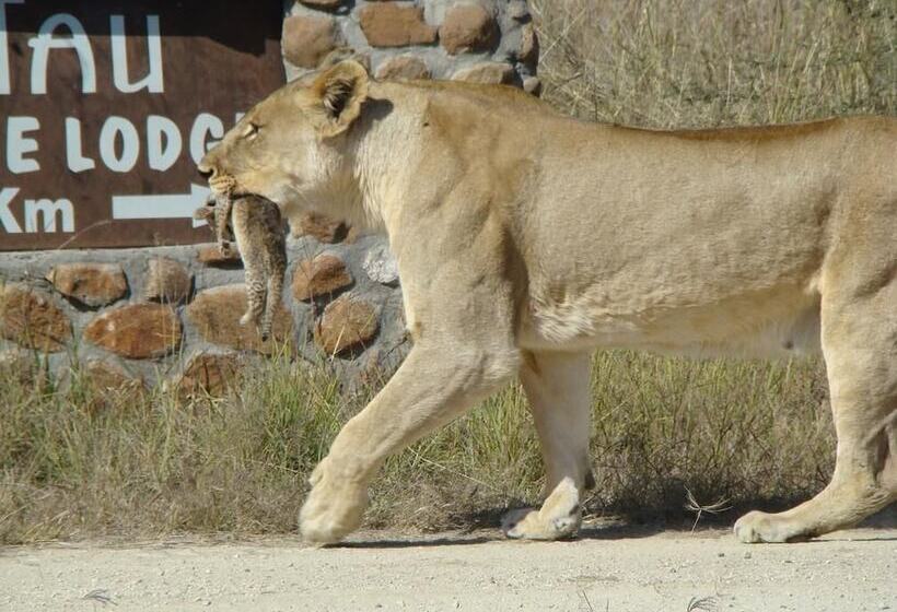 호텔 Tau Game Lodge