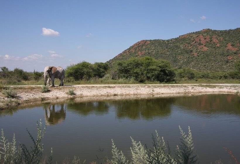 호텔 Tau Game Lodge