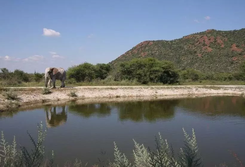 Hotelli Tau Game Lodge