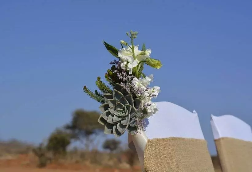 Hotelli Tau Game Lodge