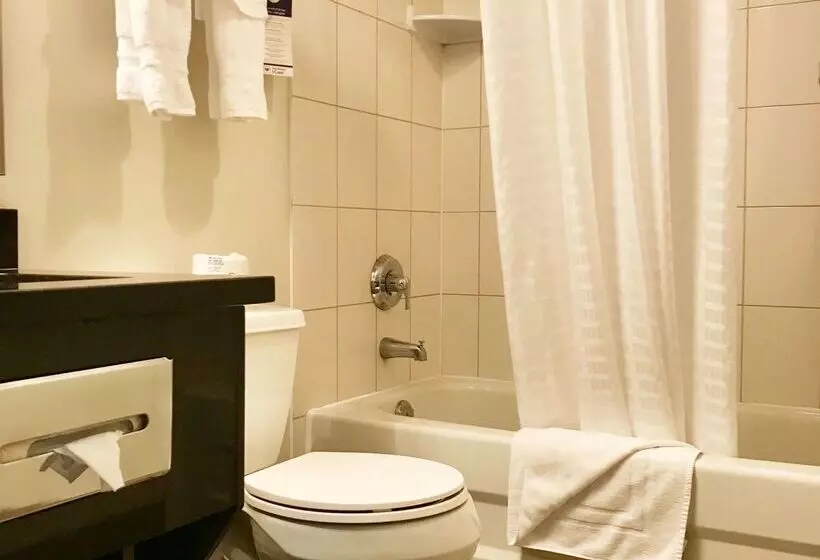 호텔 Best Western Plus Pitt Meadows Inn & Suites