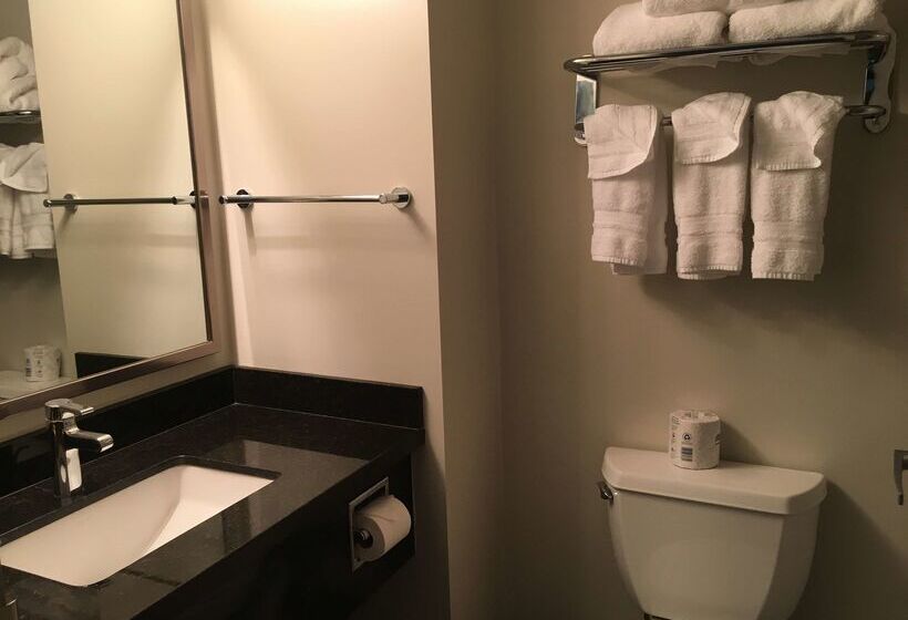 فندق Best Western Plus Pitt Meadows Inn & Suites