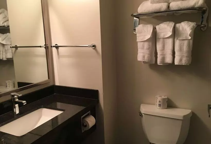 호텔 Best Western Plus Pitt Meadows Inn & Suites