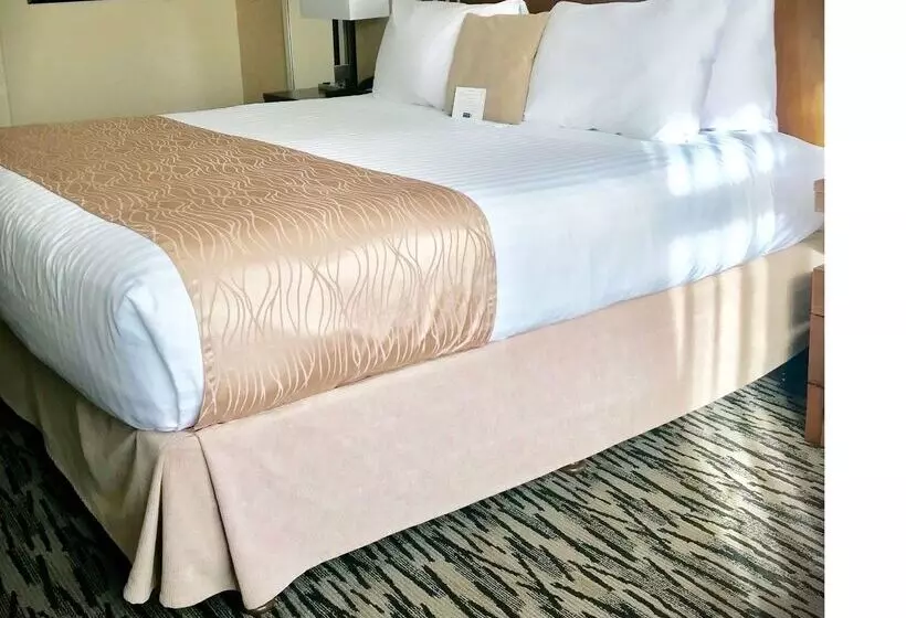 호텔 Best Western Plus Pitt Meadows Inn & Suites