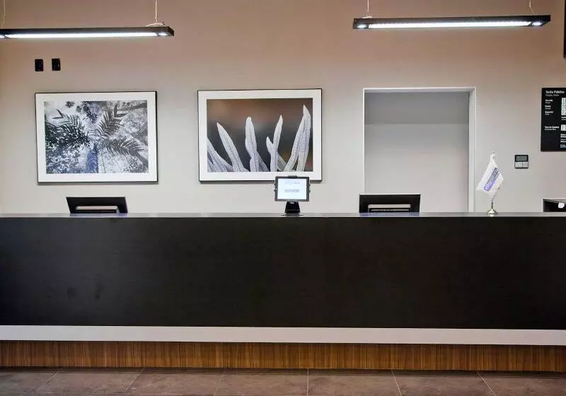 酒店 City Express By Marriott Leon