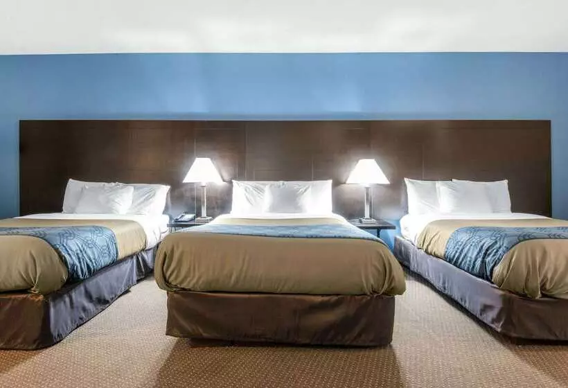 Отель Econo Lodge