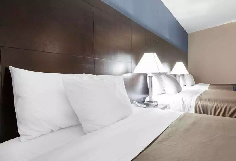 Отель Econo Lodge