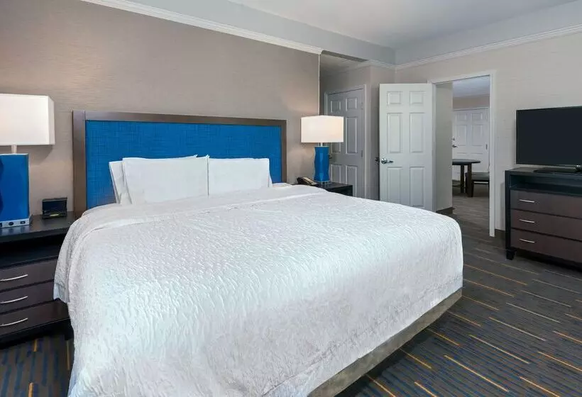 هتل Hampton Inn & Suites Buffalo Downtown