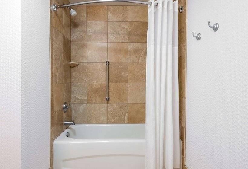 فندق Hampton Inn & Suites Buffalo Downtown