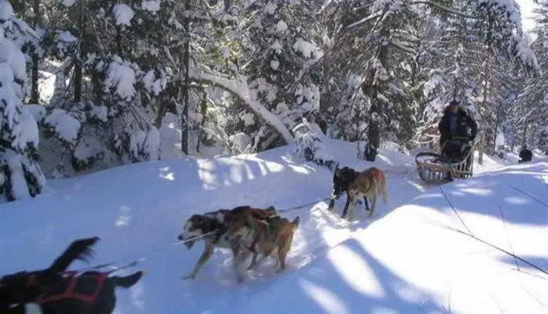 هتل Le Grand Lodge Mont Tremblant