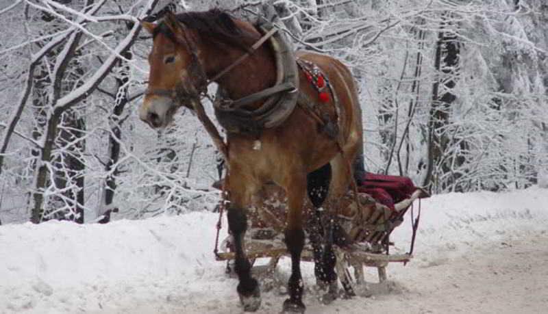 בית מלון כפרי Le Grand Lodge Mont Tremblant