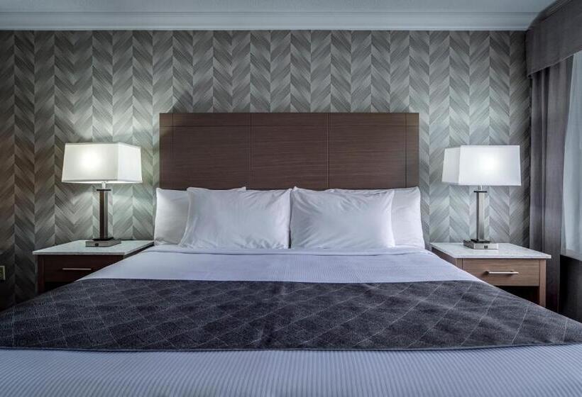 Otel Monte Carlo Inn Markham