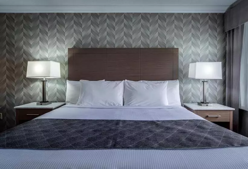 ホテル Monte Carlo Inn Markham