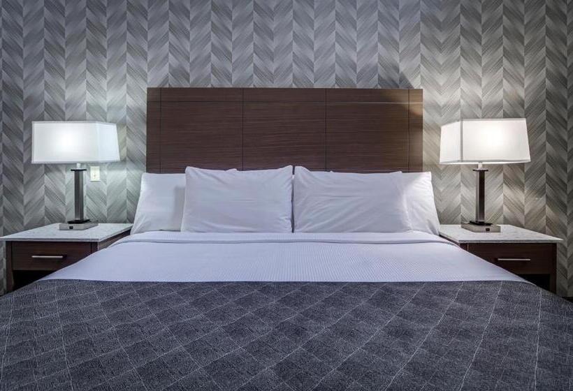 Otel Monte Carlo Inn Markham