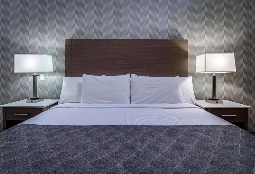 ホテル Monte Carlo Inn Markham